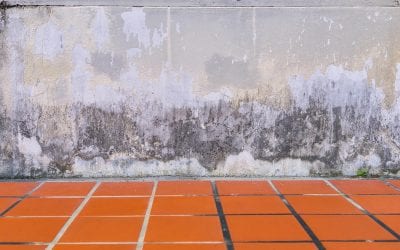 How to Prevent Basement Mold Growth