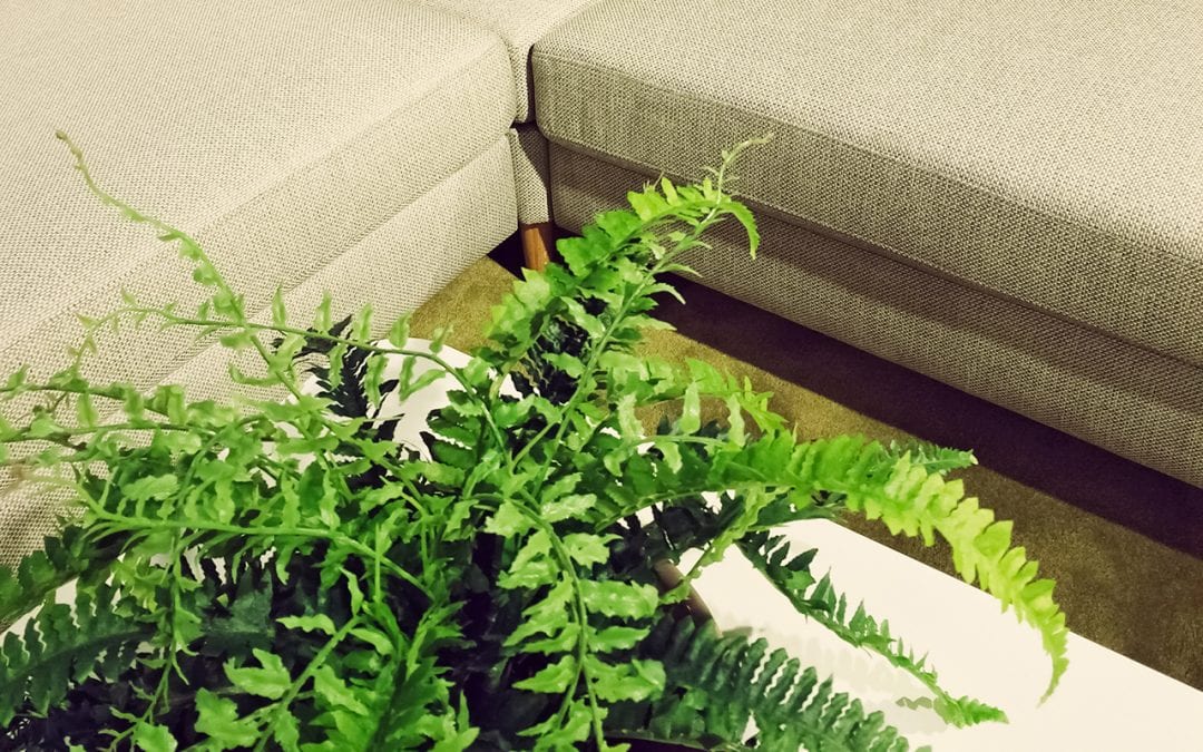7 Tips for Improving Indoor Air Quality at Home