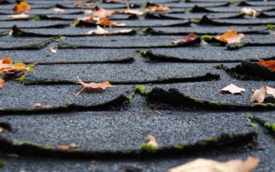 5 Signs You Need a New Roof