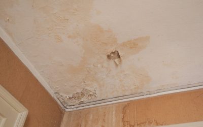 Safeguarding Your Home: 7 Tips to Prevent Water Damage
