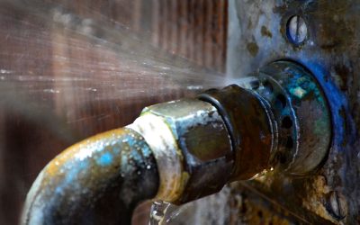 5 Signs of a Plumbing Problem: How to Spot One Early