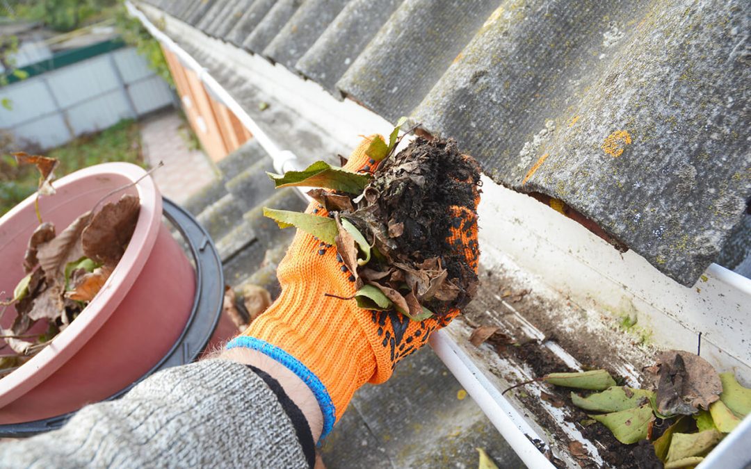 The Homeowner’s Guide to a Home Maintenance Schedule