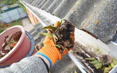 The Homeowner’s Guide to a Home Maintenance Schedule