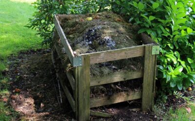 Turn Waste Into Gold: A Beginner’s Guide to Composting at Home
